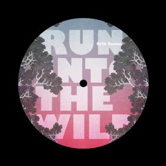 Erik Sumo - Run Into The Wild (E. Live remix)