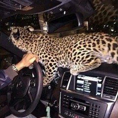 set pvt 😴😇💤