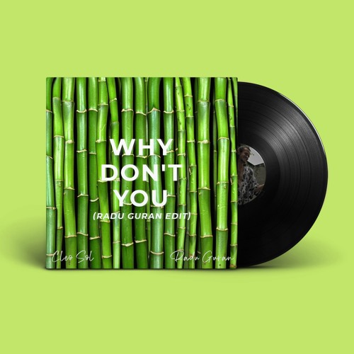 Cleo Sol - Why Don't You (Radu Guran Edit)