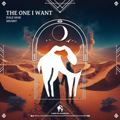 The One I Want (Original Mix)