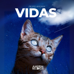 Vidas
