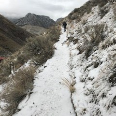 Desperado