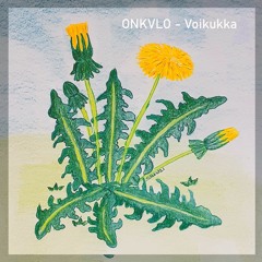 Voikukka (Dandelion)