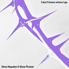 I Don't Know Where I Go (Feat Slow Flower)