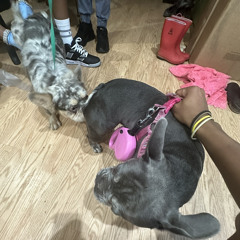 SMD ft ARK rough draft