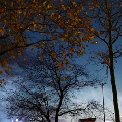 62.4 Two Pieces Piano Improvisation B♭m 20251221-4