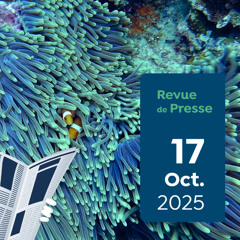 Revue de presse Capitaine Carbone #182 - 17 octobre 2025