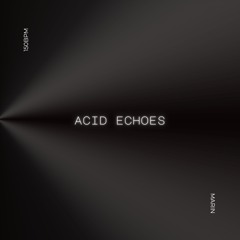 Acid Echoes (Free DL)