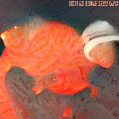 Until We Become Organ Tapes x