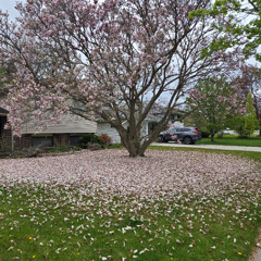 Routes & Branches & Beyond show # 370 2025 05 15