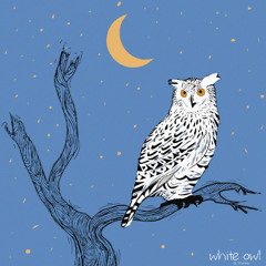 White Owl