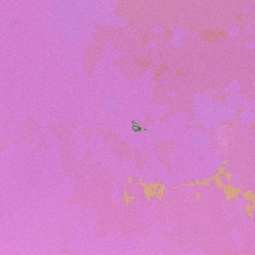 BRING THE NOIZE M.I.A. GLITCH EDIT