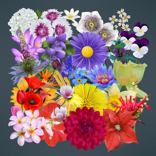 THE OTHER SIDE RADIO