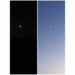 عدي زاغة - هم - انا قلبي ليه حاسس اوي - مجنون الي غيرك بيختار - يا كثر ما شلت في قلبي عليك🌚