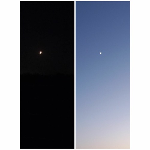 عدي زاغة - هم - انا قلبي ليه حاسس اوي - مجنون الي غيرك بيختار - يا كثر ما شلت في قلبي عليك🌚