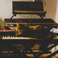 demo track 2