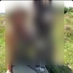 [[News Full@+ 18++]] 2 wolf one girl viral video one girl one wolf two wolf one girl viral video