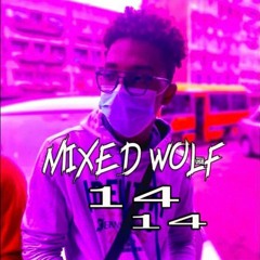 Mixed wolf - 14 (original mix)