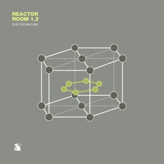 Reactor Room 1.2 | Dub Techno Mix