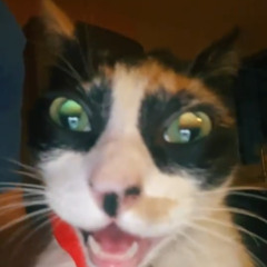 The song of all time