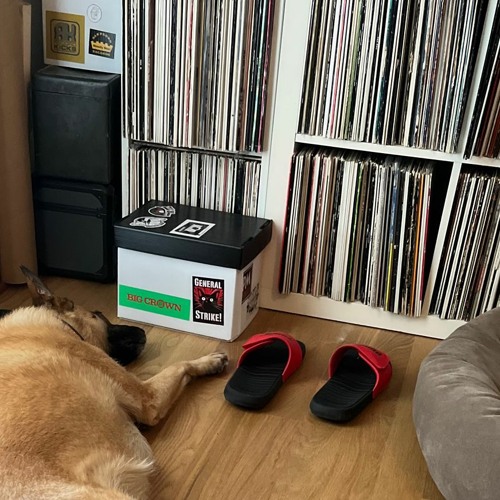 Pullin from the Stacks Episode 235 - Recent Digs and Things