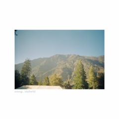 Pines