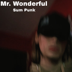 Mr. Wonderful (prod. yung nab)