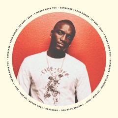 Akon - I Wanna Love You Ft. Snoop Dogg (Dankless Bootleg)