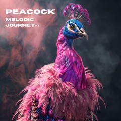 Peacock - Melodic Journey Nr. 2