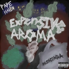 Expensive Aroma (Prod. @Izzyturntfrr)