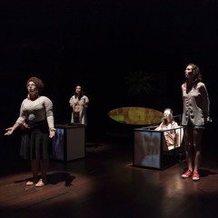 Ele diz que tem muita coisa