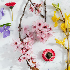 Flowers in the Garden