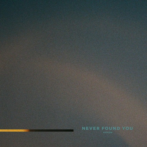 Never Found You