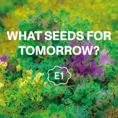 E1: Let’s Liberate Diversity!