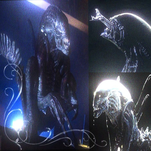 DEPHCORE - STAY///xenomorphmode