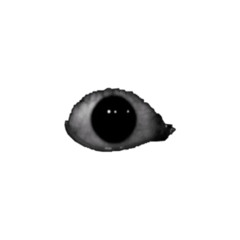 H3 CTp4HHblй