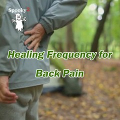 Healing Frequency for Back Pain - Spooky2 Rife Healing Frequency
