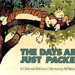 PDF/Ebook The Days Are Just Packed BY : Bill Watterson