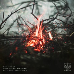 Tom Baker - Collecting Kindling EP [Stone Seed]