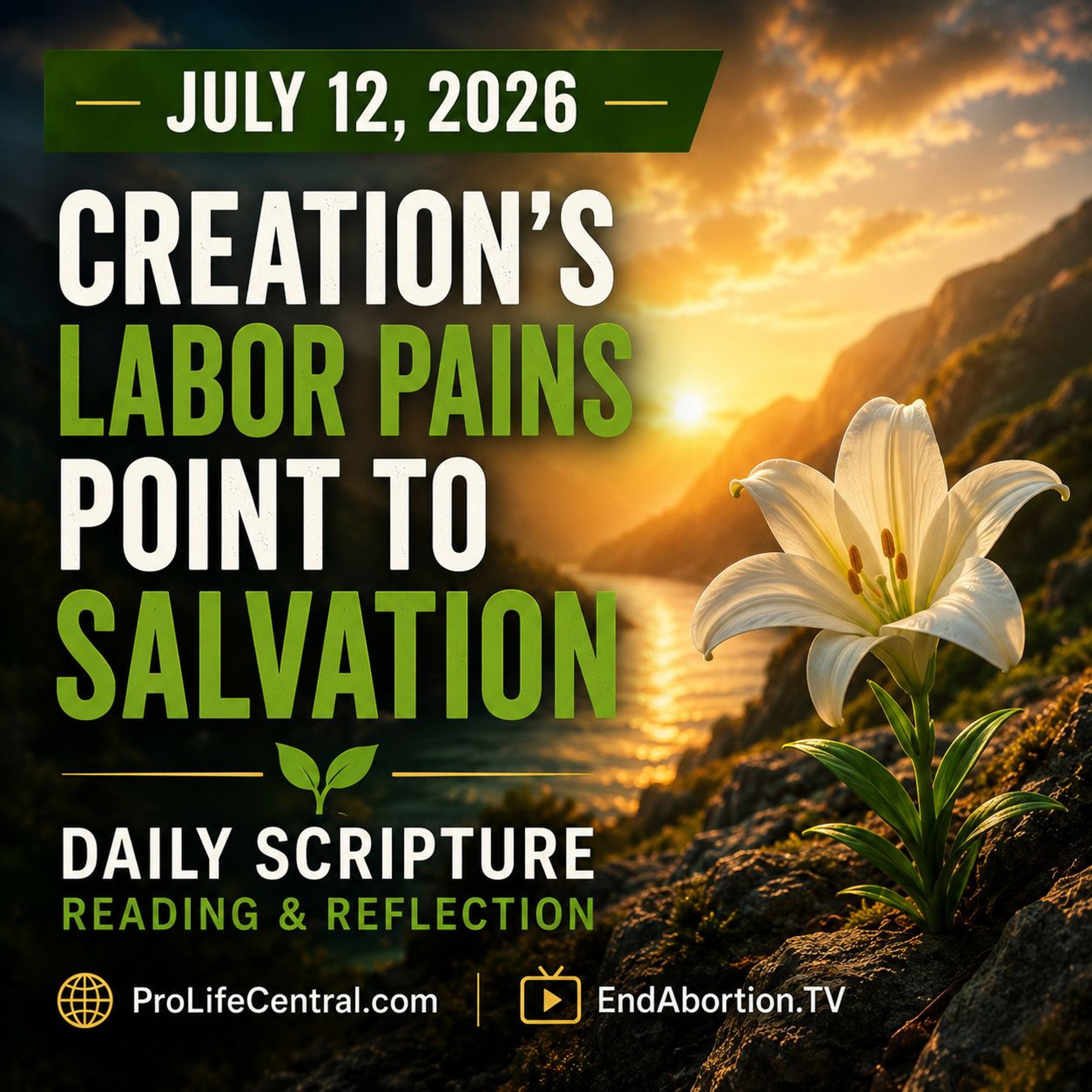 The End Abortion Podcast: Creation's Labor Pains Point to Salvation: 7-12-2026 episode artwork