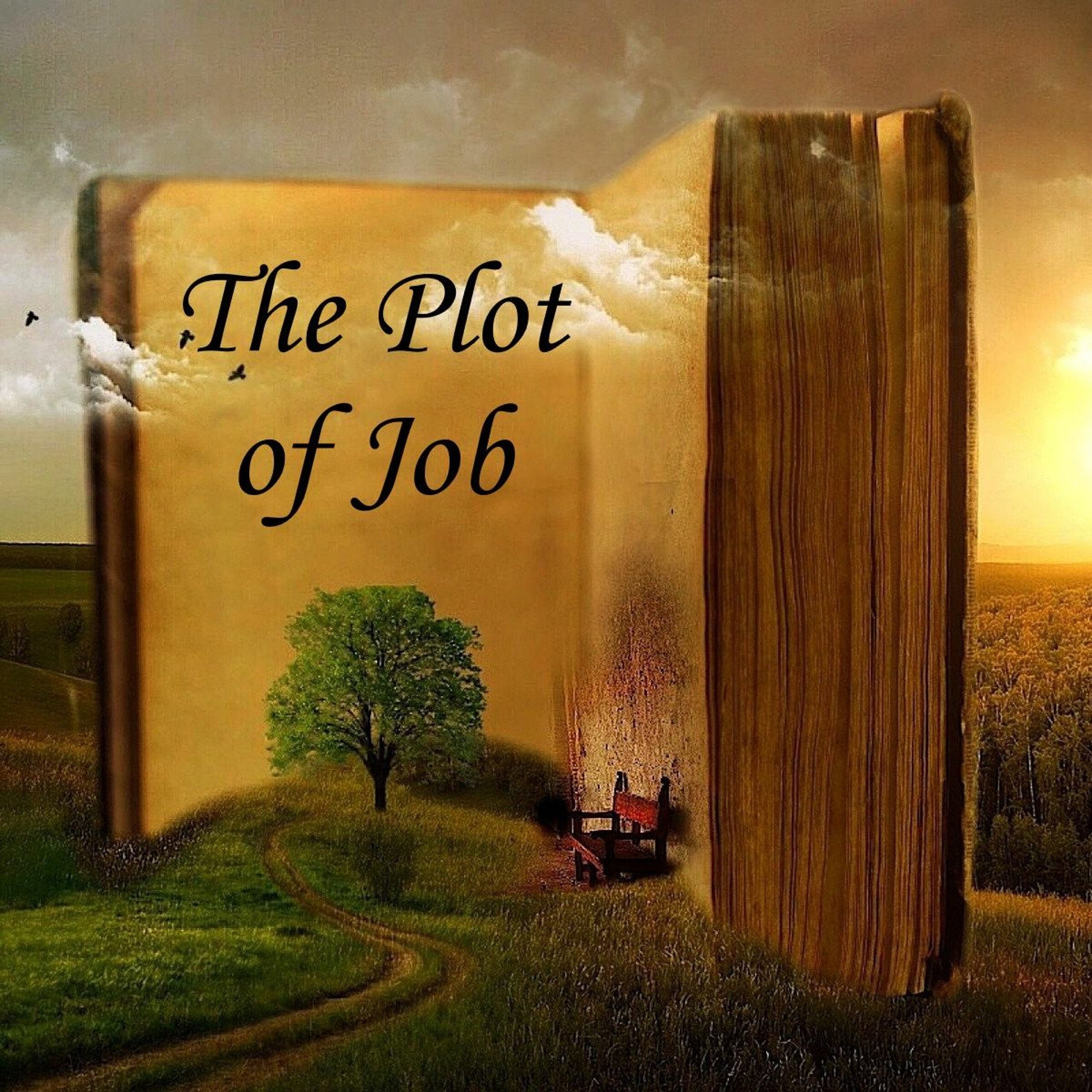 The Plot of Job