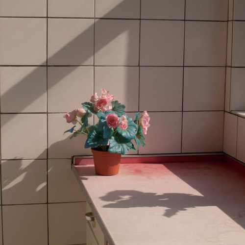 봄 안녕 봄(w.유젱)