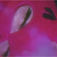 Bitch Dont start no Shit