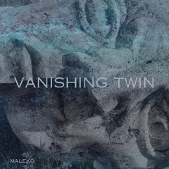 Vanishing Twin