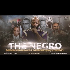 Sincere Ignorance And Conscientious Stupidity