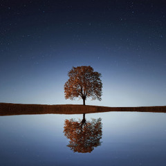 Final Beat Version 2021@The tree of life