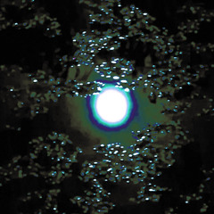 Corp Sweetheart - Signals (26)