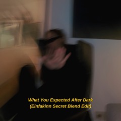 Keinemusik (&ME, Rampa, Adam Port) - What You Expected After Dark (Einfakinn Secret Blend Edit)