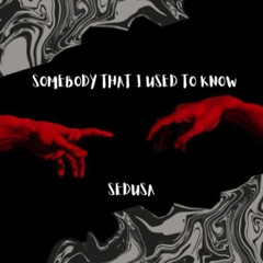 SOMEBODY THAT I USED TO KNOW JOTARO (SEDUSA EDIT)