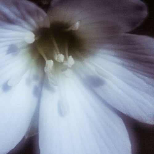 why can't i breath, why do i feel so afraid?